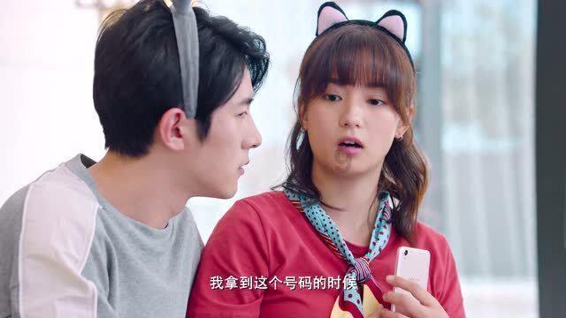 小猫钓鱼开船版最新版下载